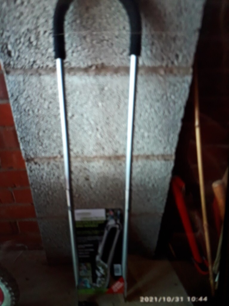 halfords balance buddy